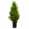 DRZEWO CEDROWE W DONICZCE 90CM